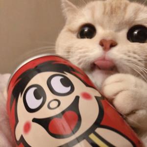 人生不留白