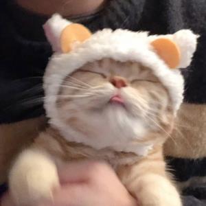 麦田里的小草