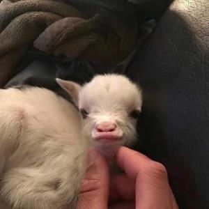 飞向未来