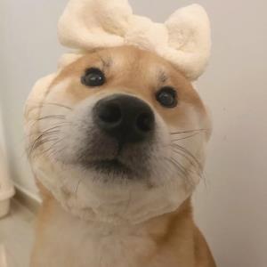 心灵的阳光