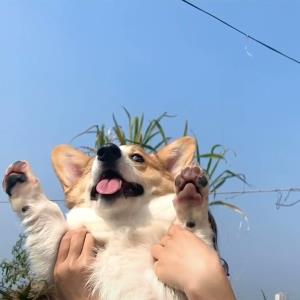 坚强的心灵