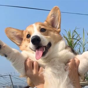 温柔如水