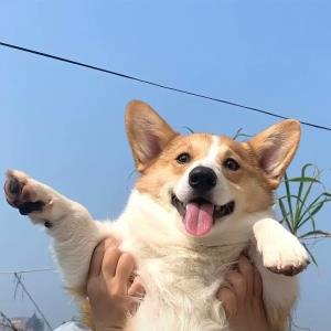 开心快乐