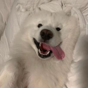 珍惜的时光