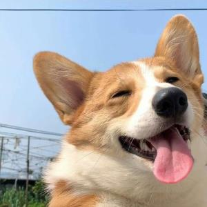 心灵之舞