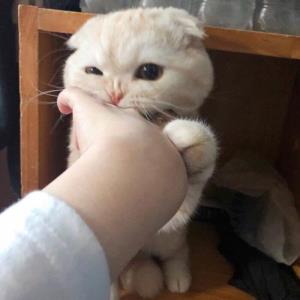 爱的温度