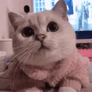 心中的阳光