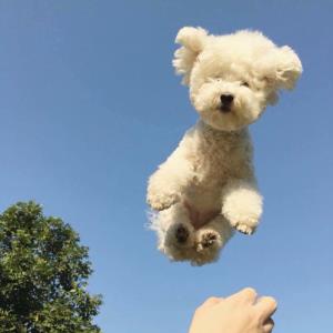 祝福你我