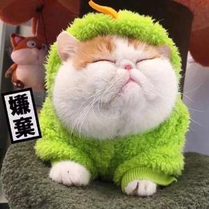 蜜糖般的日子