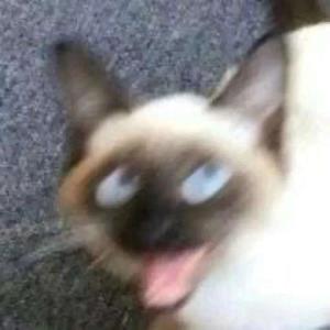 向阳而生