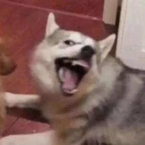 快乐的婴儿