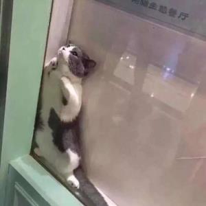 忧愁的彩虹
