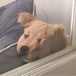 生命的火花