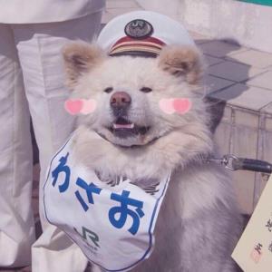 坚韧的战士
