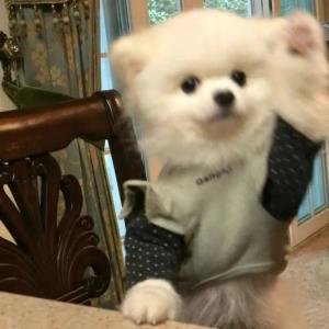 甜蜜的微笑