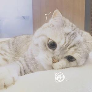 石头中的阳光