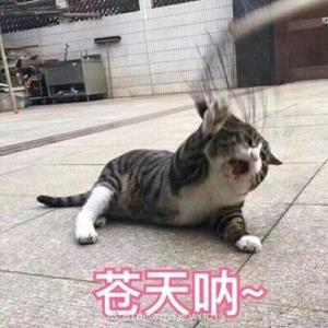 美好的日子