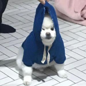 真诚的微笑
