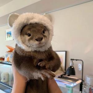 青春的活力