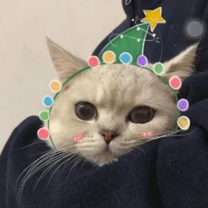 美丽的未来