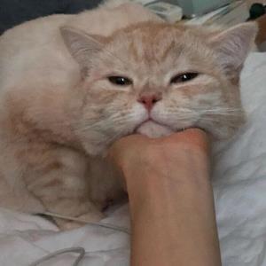 心驰神往