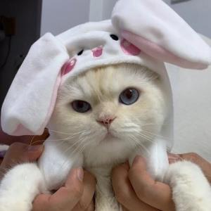 永远的美好