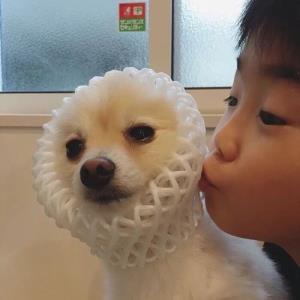 开心的一天