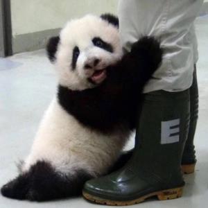 真诚的待人