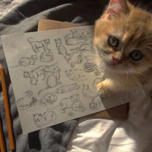 青春的永存