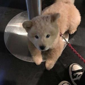 心灵之美