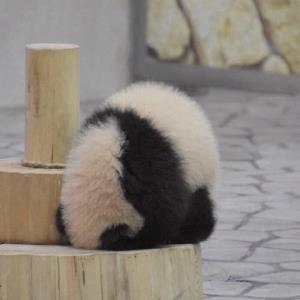 感恩与付出