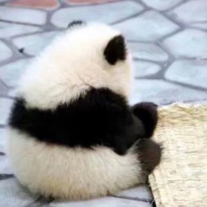 真情的感动