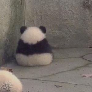 活力的生命