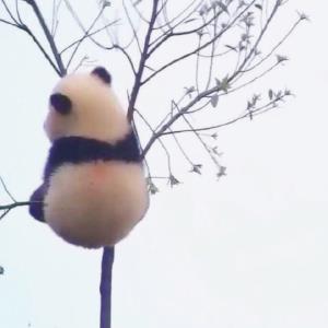 小幸福的秘密