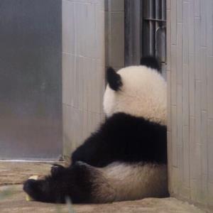 真诚与善良