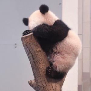 快乐的明天