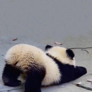 眼里有光