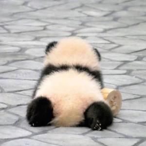 信心的喜悦