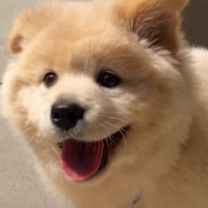 保持微笑