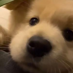 幸福的气息