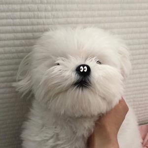 非凡的生命