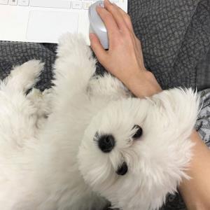 舒适无忧