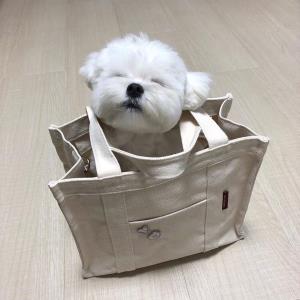 勇敢前行