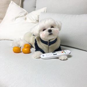 坚实如磐