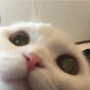 行走阳光