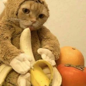 一呼百应