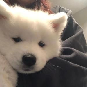 绿色的希望