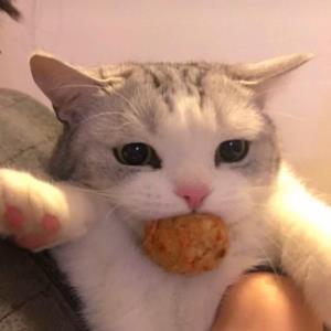 温馨如春