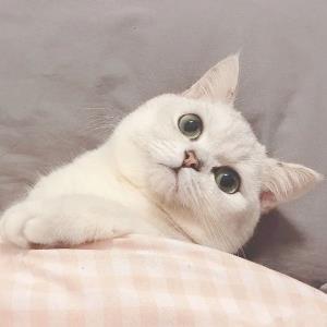 执着追求