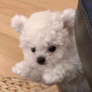 清新的生活